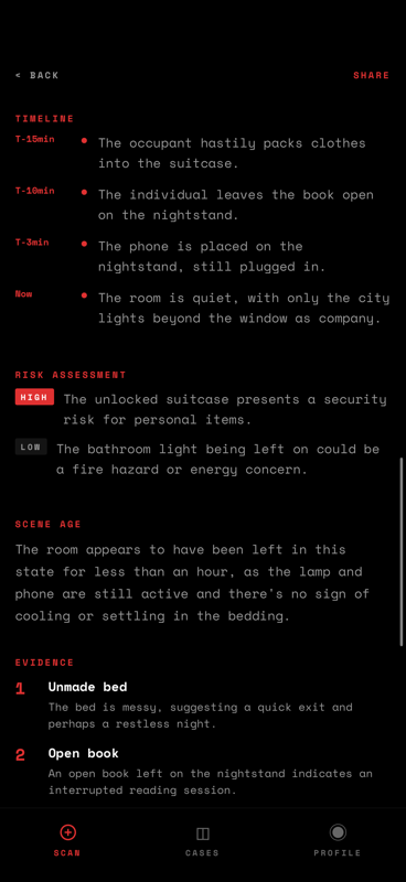 Probe — Reconstructed timeline with risk assessment and scene age